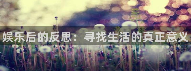 开丰娱乐