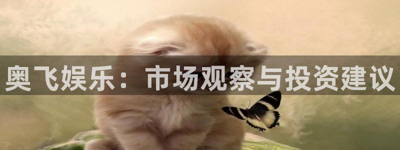 开丰娱乐