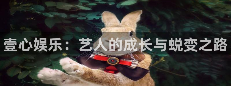 开丰娱乐