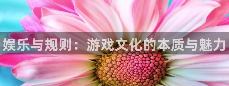 开丰娱乐
