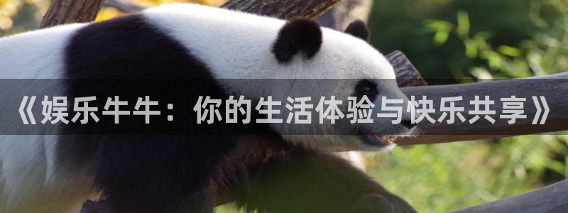 开丰娱乐地址